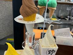 -野人先生Gelato(上海长宁龙之梦店)