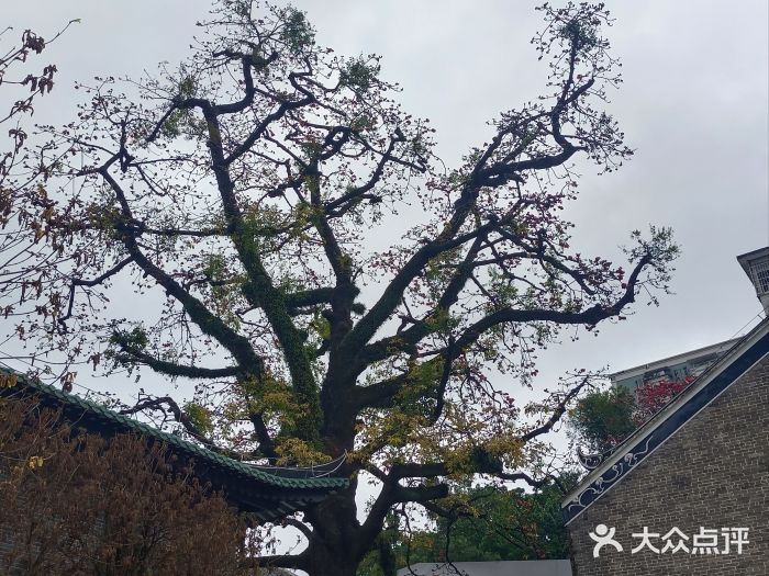 光孝寺图片