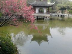 android_upload_pic-水绘园