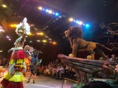 -奥兰多迪士尼动物王国乐园