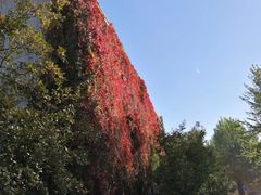 -财经大学学生公寓食堂