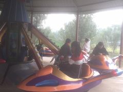 -东方巨龟苑景区