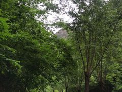 -十渡东湖港风景区