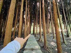 -太阳湾风景区