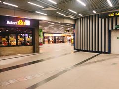 -竹子林(地铁站)