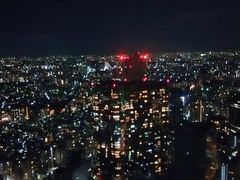 -东京都厅舍