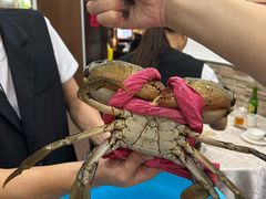 -凤城礼记鱼翅海鲜酒家(新马路总店)
