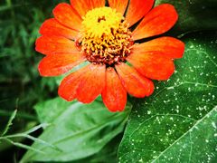 -天津东丽湖风景区