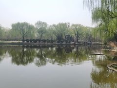 -石家庄市植物园