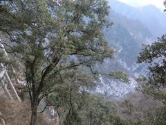 iphone_upload_pic-塔云山