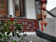 -龙潭水乡
