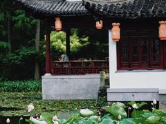 -上海古猗园