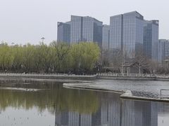 -莲花池公园