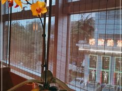 -海尔洲际酒店天下一品中餐厅