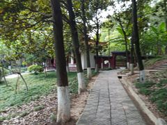 -富乐山