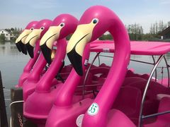 -上海长兴岛郊野公园