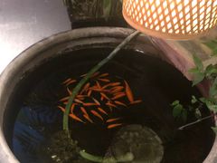 -悦真雅院·四合院·清真私房菜(雍和宫店)