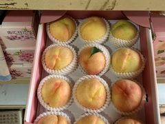 -南汇新场正宗水蜜桃采摘