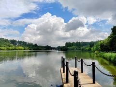 -南国桃园旅游度假区