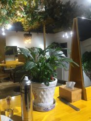 -明洞造型精品烫染