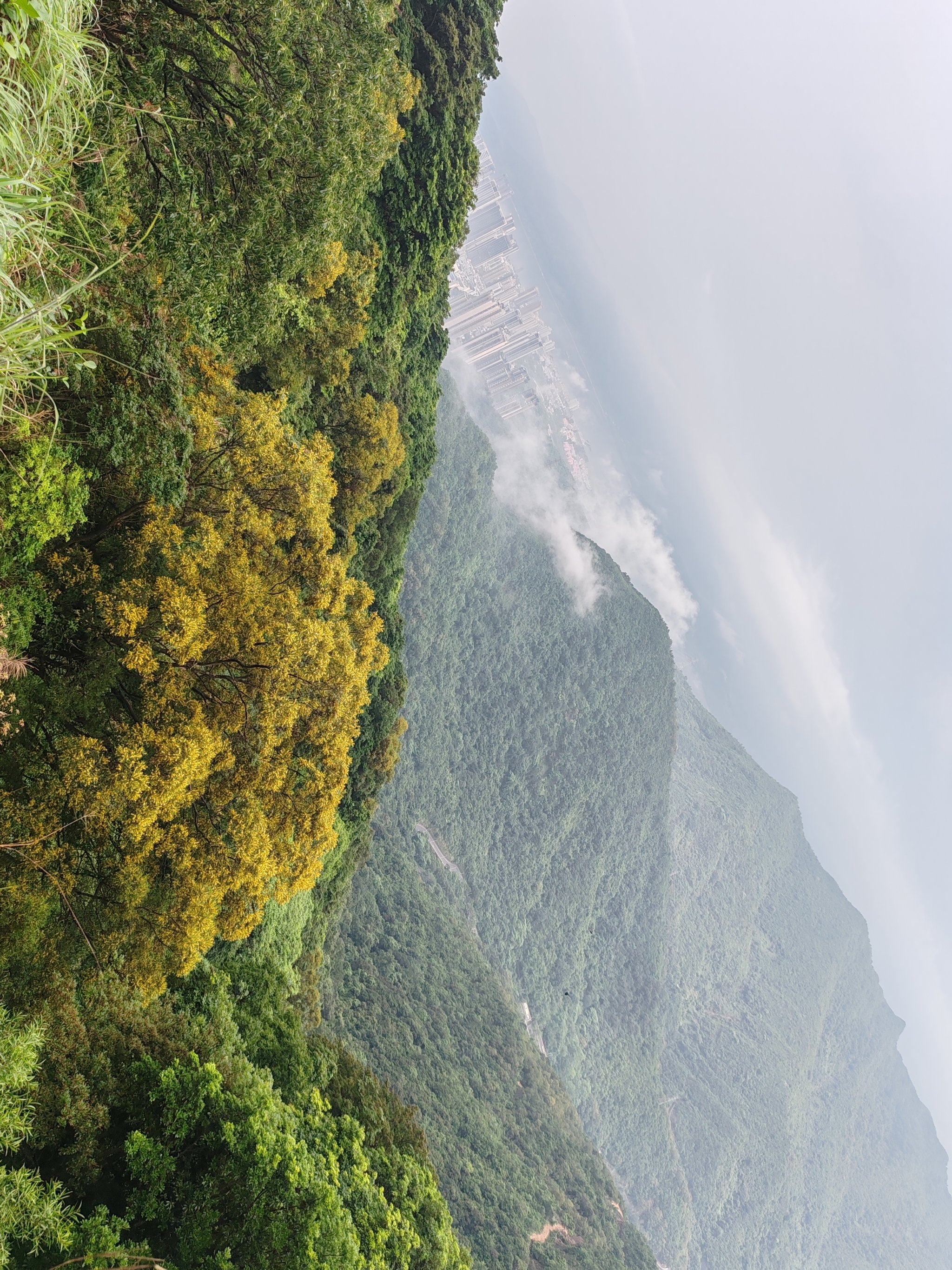 深圳第一峰梧桐山图片