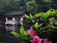 -先机泉水鸡汤(南山老君洞店)
