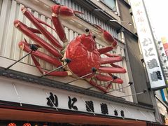 -蟹道乐(道顿堀本店)