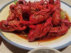 -杨氏青龙虾·羊蝎子(珠江路店)