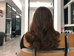 -SALON TV x ILCOLPO