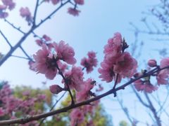 -船政文化景区-罗星塔公园