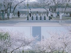 -西北湖绿化广场