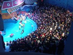 -烟台海昌鲸鲨海洋公园