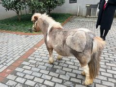 -宁海安岚·南溪阁全日餐厅