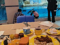 -帝企鹅自助餐厅•儿童岛•真企鹅(长隆企鹅酒店)