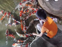 -泉城欧乐堡海洋极地世界