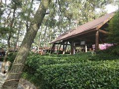 -威海天沐温泉度假区