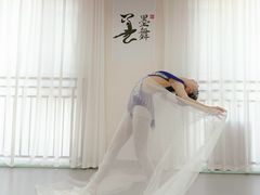 -墨舞舞蹈(顾村公园店)