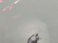 -密印寺