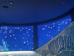 -沈阳海洋探索中心