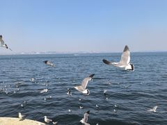 -大连海昌东方水城