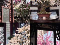 -苏州上方山国家森林公园