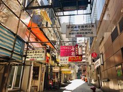 -珍妮曲奇聪明小熊(上环店)