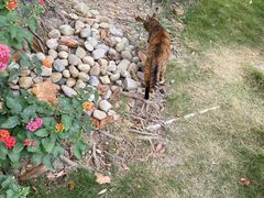 -苏州河梦清园环保主题公园