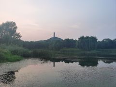 -北坞公园