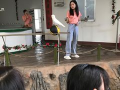 -南戴河国际娱乐中心