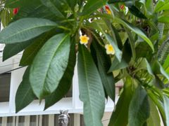 -曼谷国家博物馆
