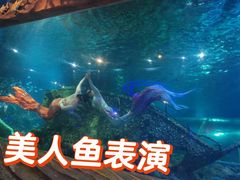 -太奥幻太奇海洋馆