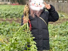 -前小桔亲子创意农场·草莓采摘·露营烧烤