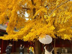 -承恩寺