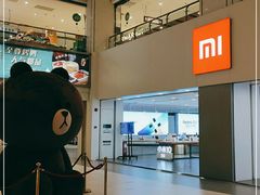 -小米之家(东方宝泰购物中心店)